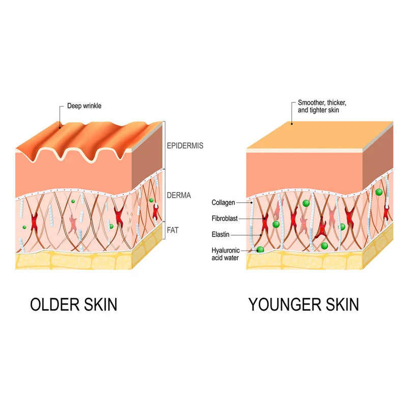 Anti-wrinkle Fine Line-fading Lifting And Firming Skin Care